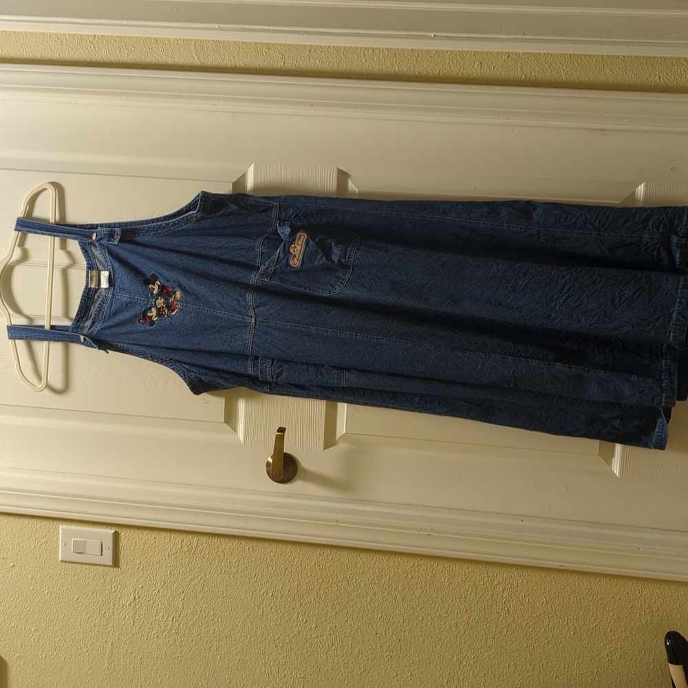 Vintage Plus size Disney dress